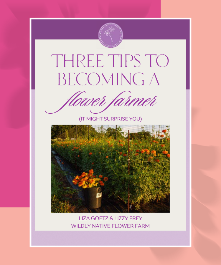Cover Art for "Three Tips to Becoming a Flower Farmer" Free Resource Guide