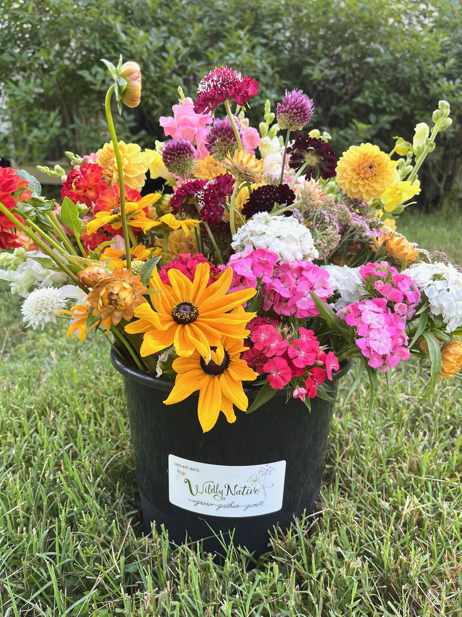 DIY monthly flower bucket with bright flower farm flowers.