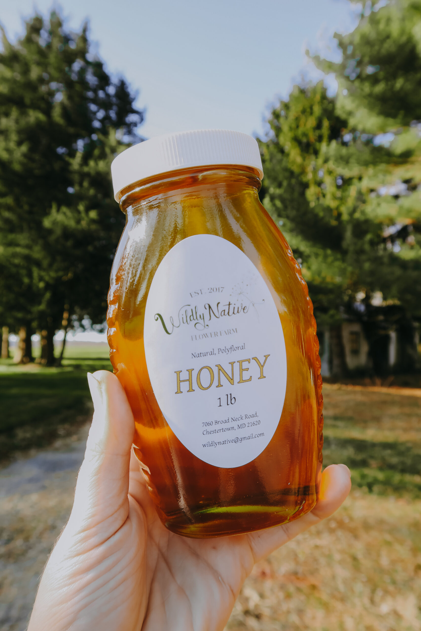 Hand Holding a jar of floral honey up to the sunlight