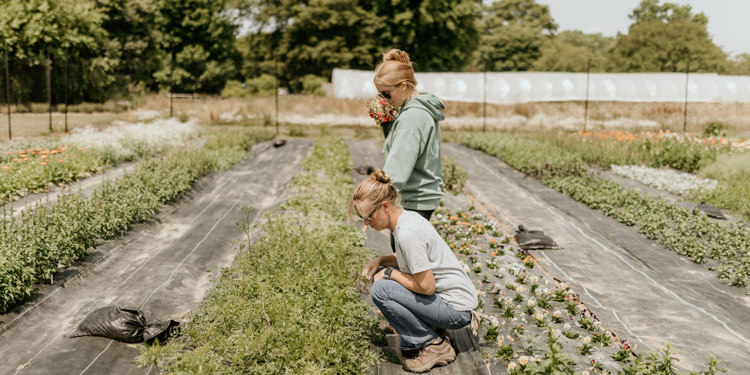 Episode 2: Navigating Event Planning: Insights from Carlos Lopez