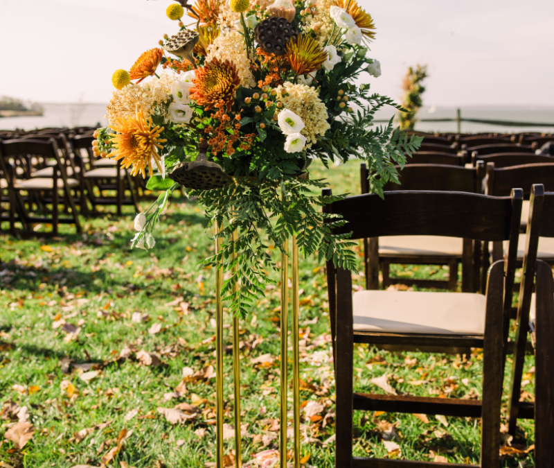 Episode 31: What’s to love about Fall?