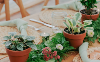 A Potted Plant Dream Wedding: Stephanie + Elliot