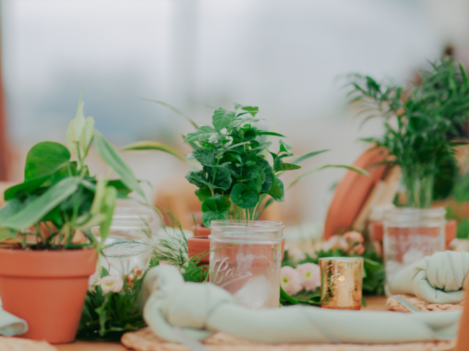Potted Plants with votives
