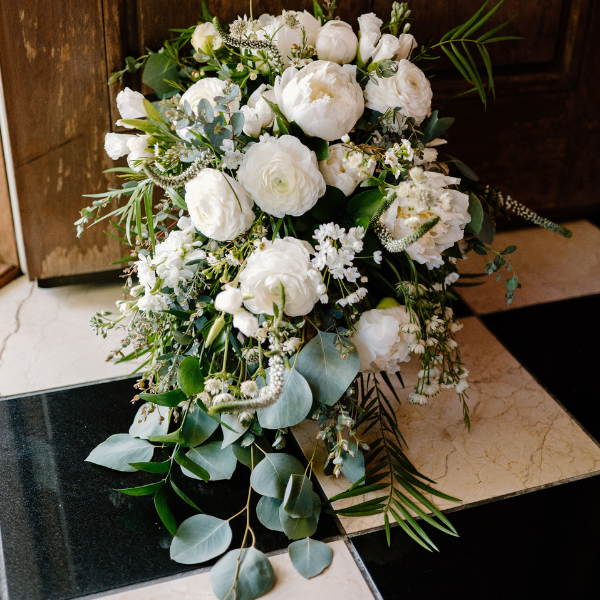 springneutral_featuredimage