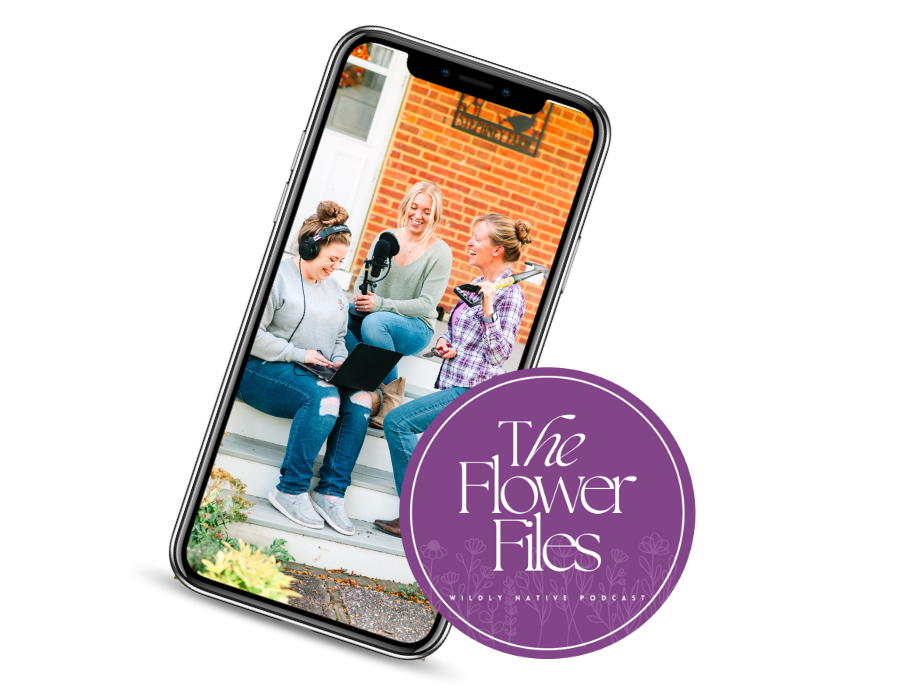 Phone Frame with Liza, Amber and Lizzy sitting on a porch discussing the podcast