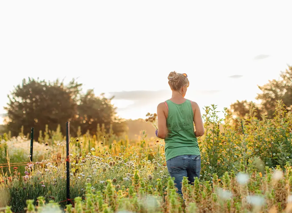 Wildly Native Flower Farm Founder, Liza, standing in the flower field with her back to the camera