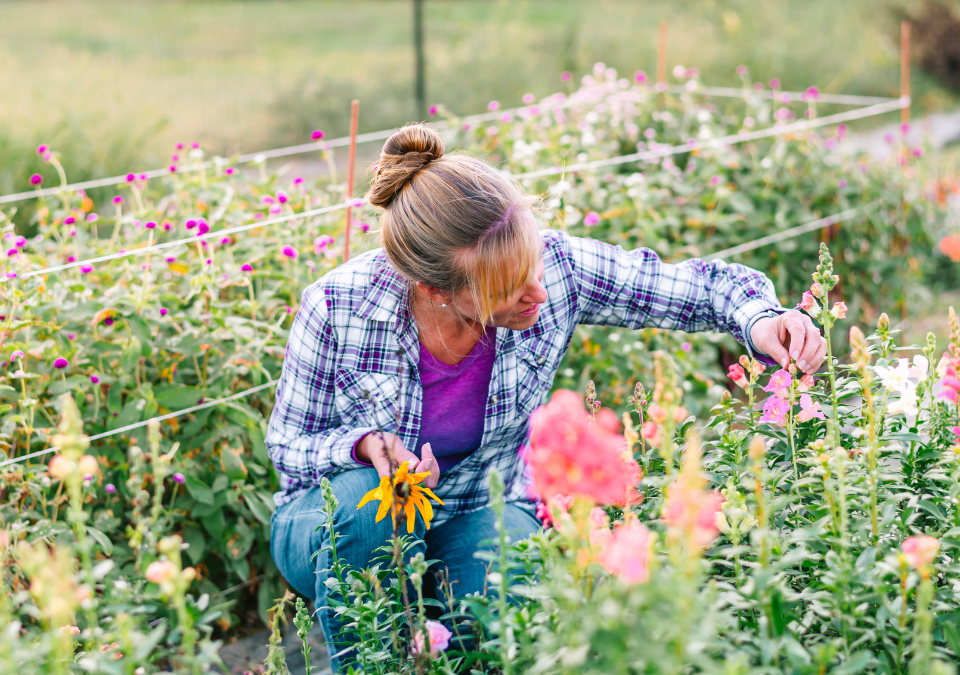 Episode 3: Cultivating Passions: The Art and Earth of Flower Farming with Liza from Wildly Native