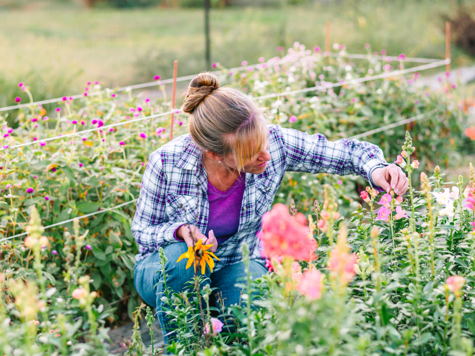 Episode 3: Cultivating Passions: The Art and Earth of Flower Farming with Liza from Wildly Native