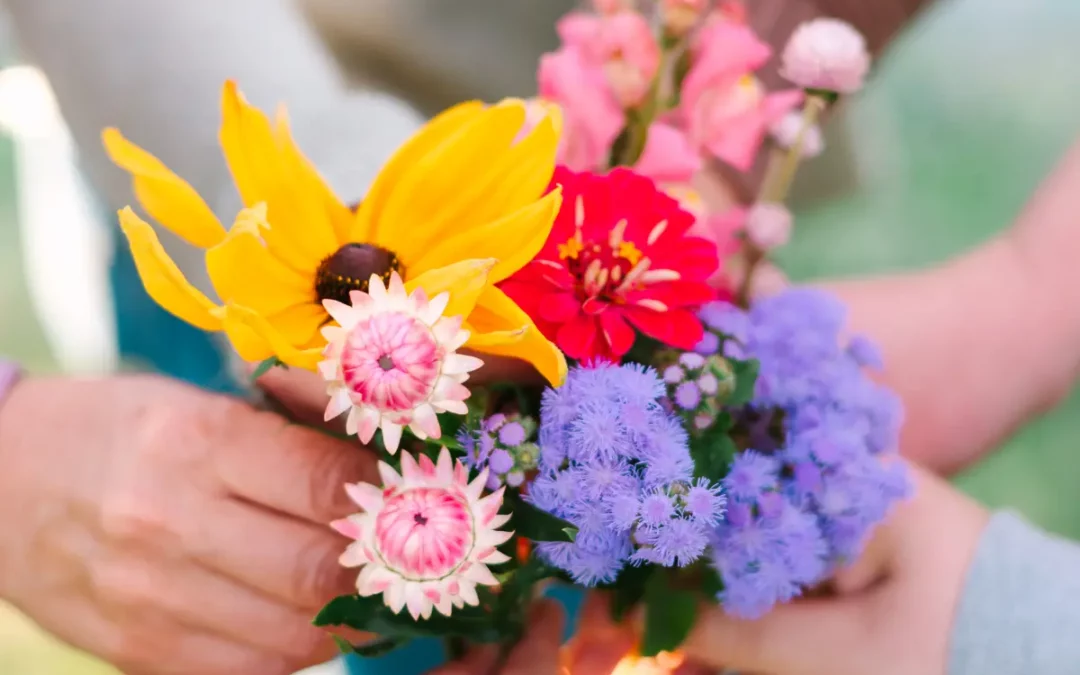 Episode 7: So we Planted some Flowers; Now what?