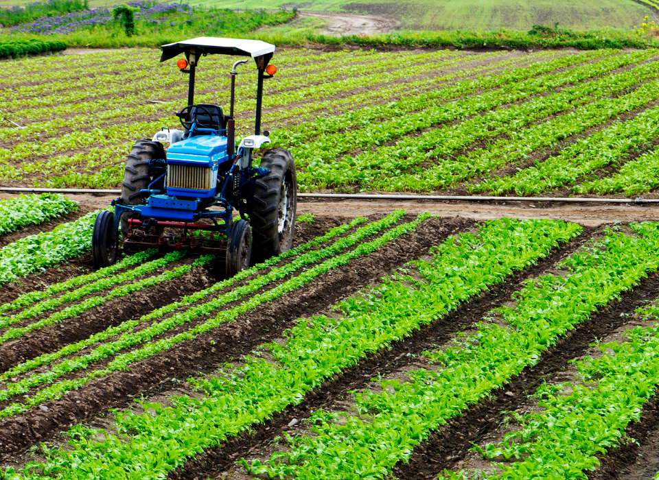 Tractor in Farm Field