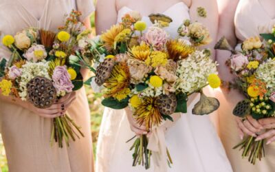 Episode 9: Whispers in the Petals: Tracing Valentine’s Traditions from Roman Roots to Romantic Roses