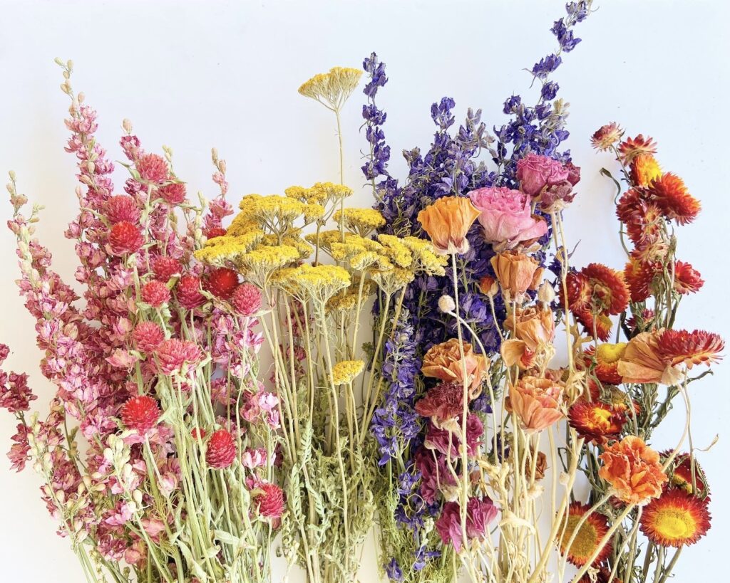 Dried Floral Rainbow Dried Floral Rainbow