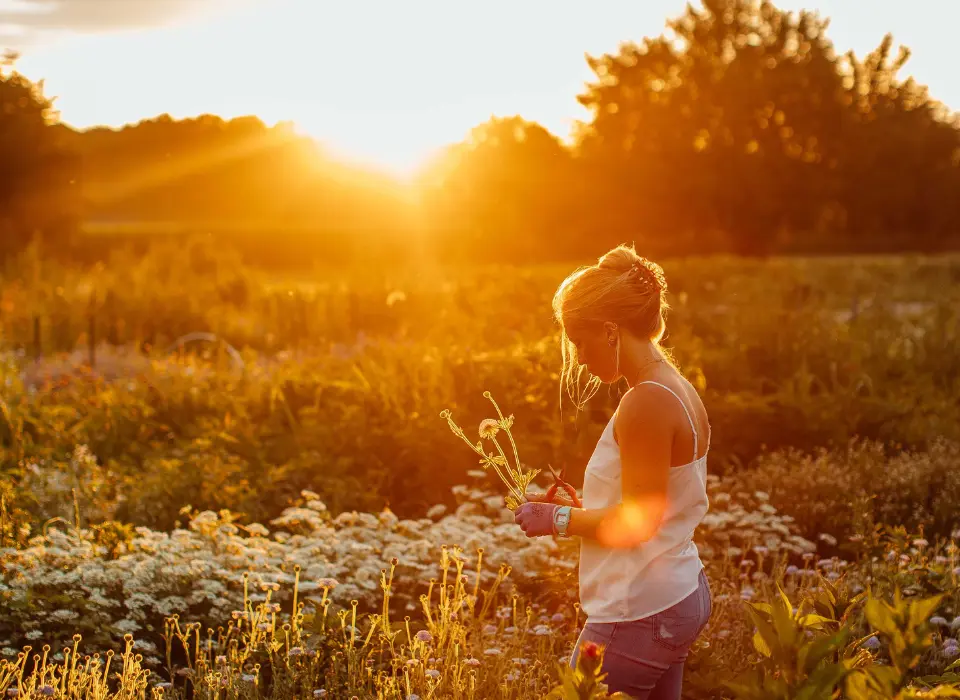 Summer at Wildly Native Flower Farm