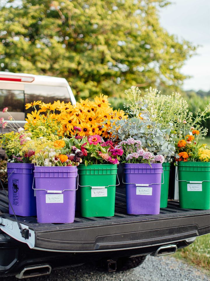 WN Portrait Image Size 720×960 (5) Purple and green buckets full of bright summer flowers sit in the bed of a truck.