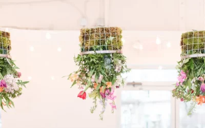 Episode 12: Content Creation: Instagram vs. Reality Styled Shoots