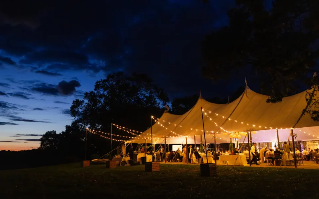 Episode 35: Wedding Clean-Ups: What are our stories?