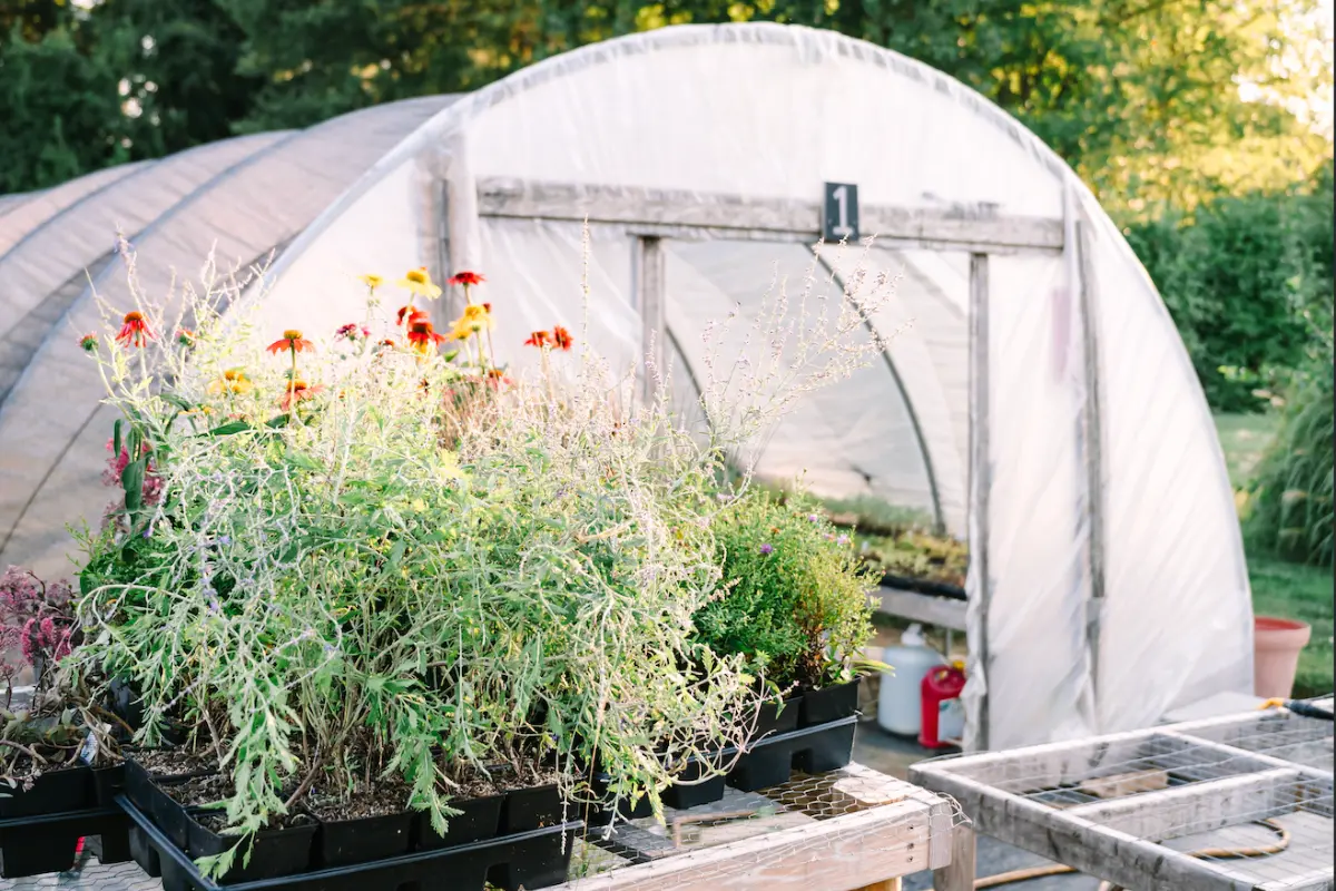 Wildly Native Flower Farm Hoop House