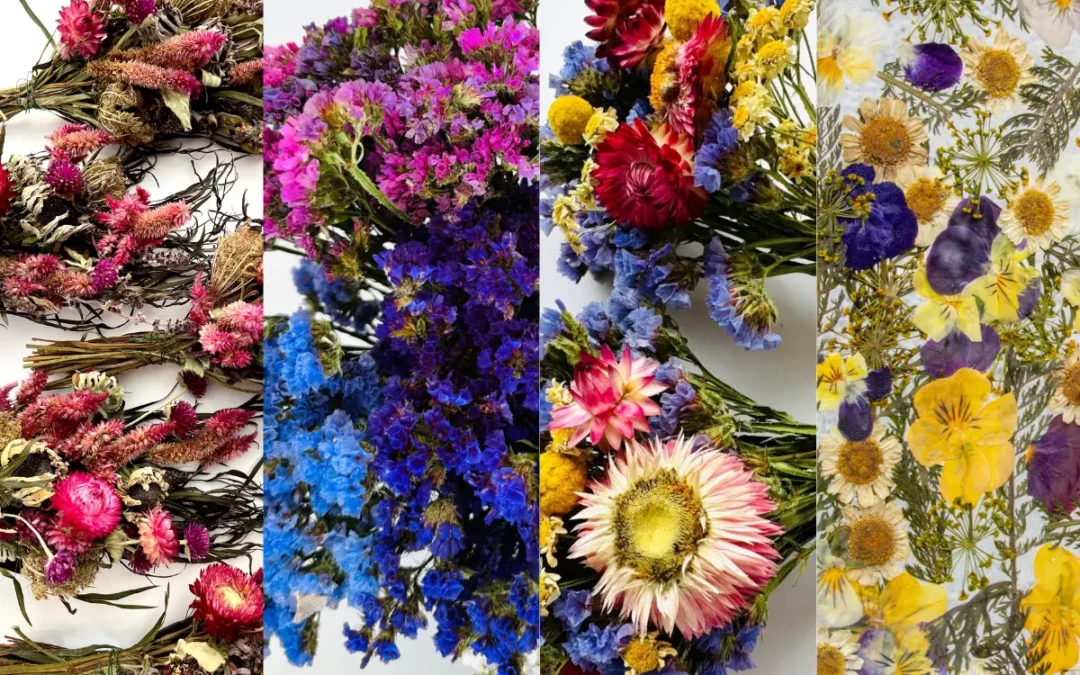 Episode 41: Through the Seasons: From Field, to Dried, to Gifting