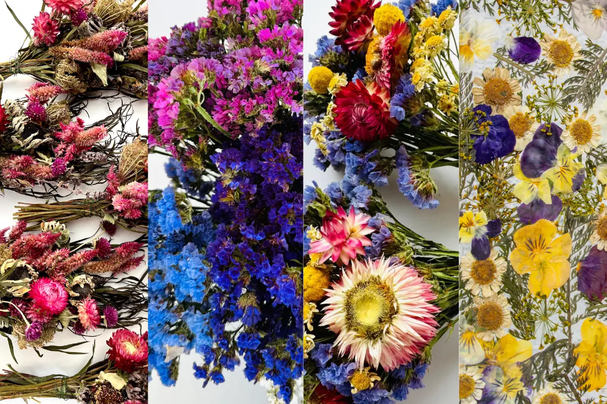 Blocks of various dried flowers