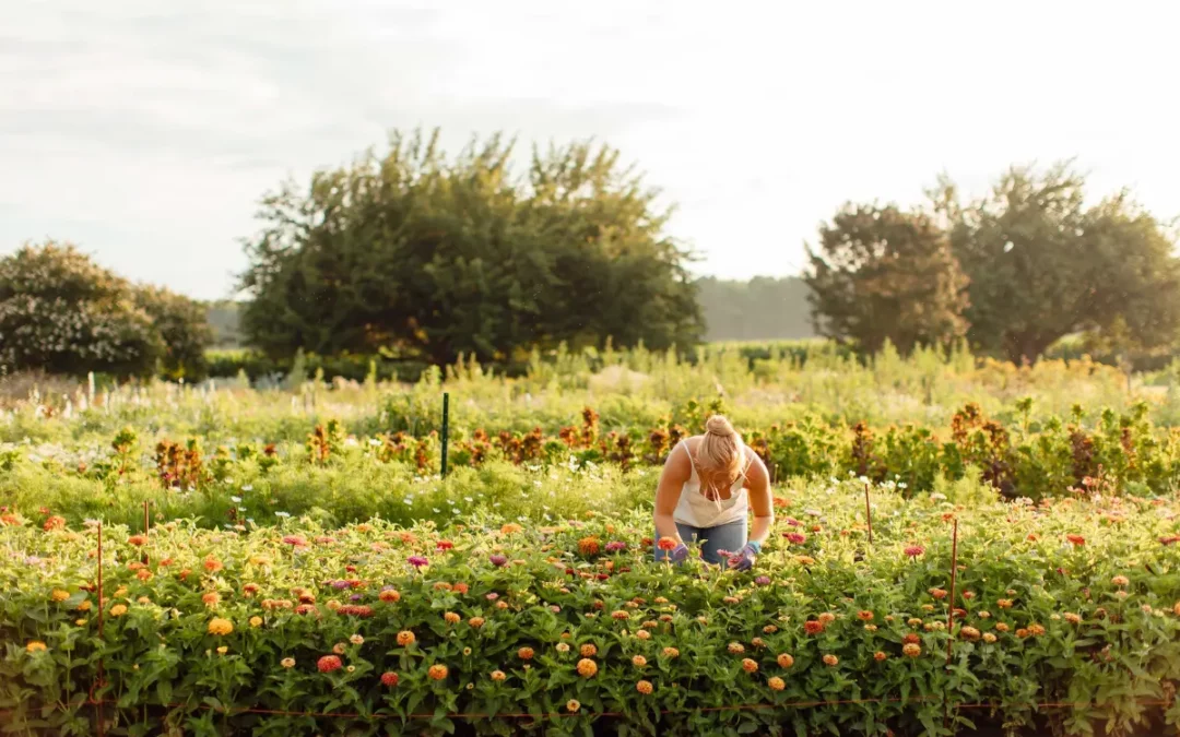 Episode 49: How to Start a Flower Farm