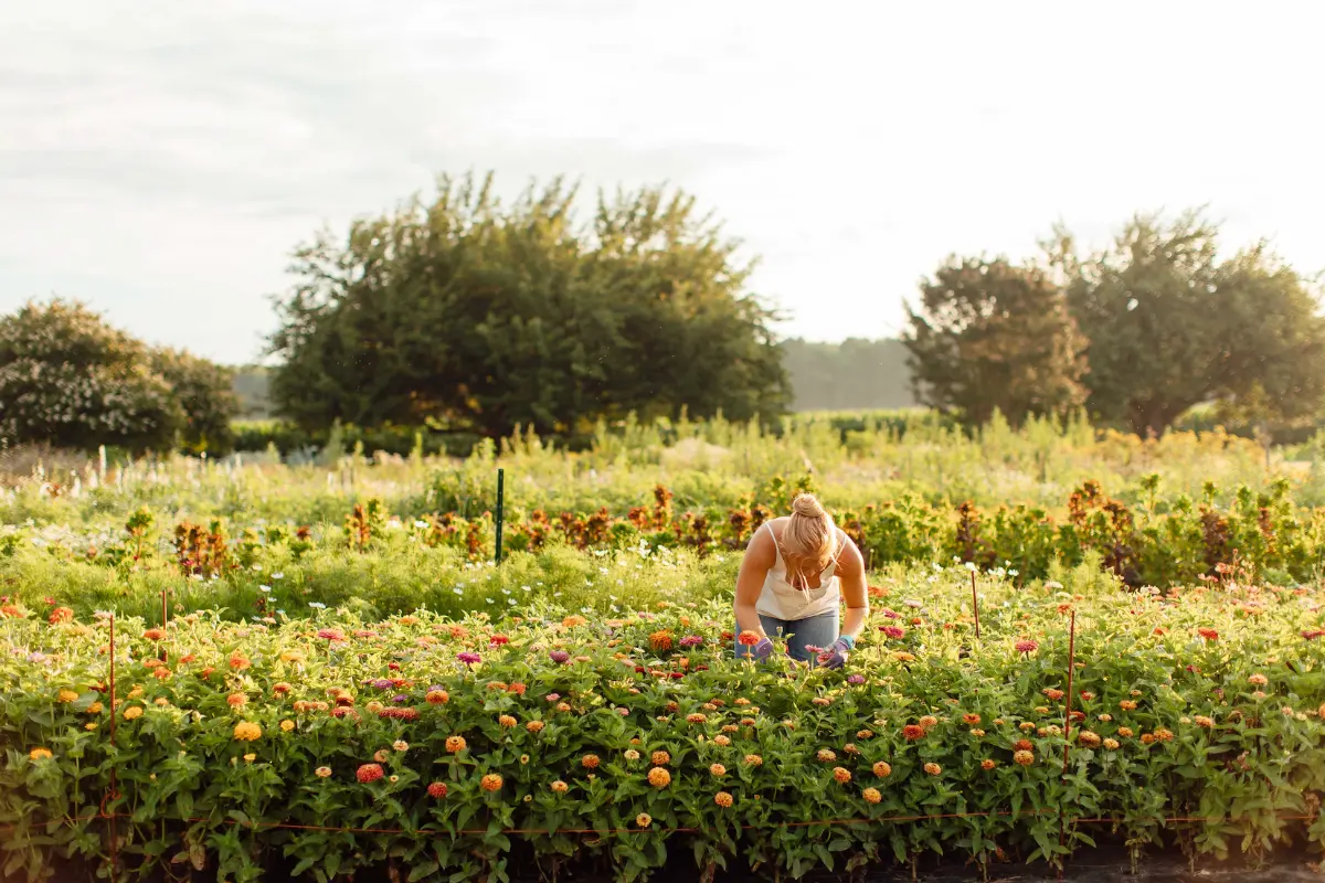 Featured image for Episode 49: How to Start a Flower Farm, with Liza standing in the middle of the field