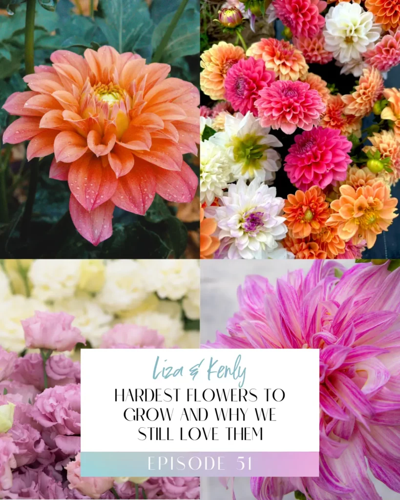 Episode 51 Title Image