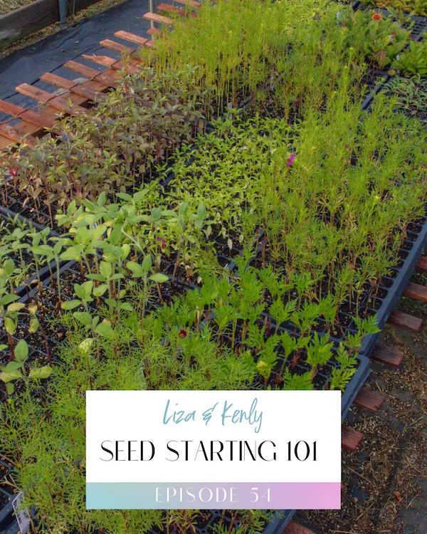 Episode 54 Title Image: Seed Starting 101