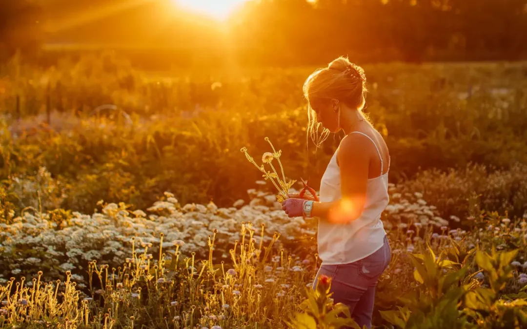 Episode 55: Day in the Life of a Flower Farmer