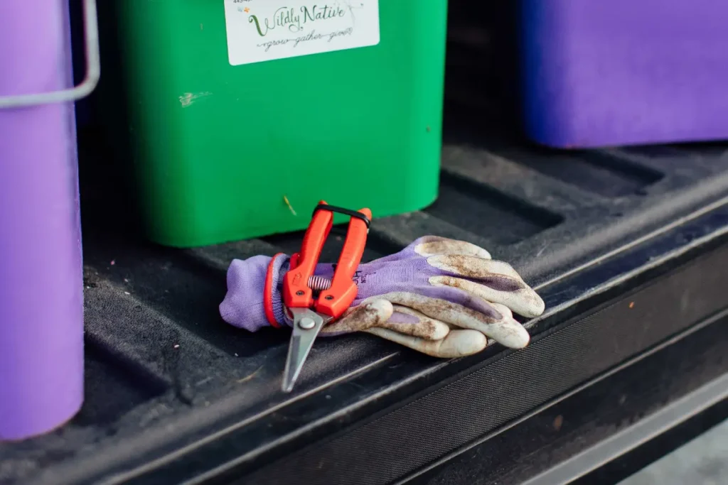 Episode 58: Clipper vs. Knife Episode Title Image