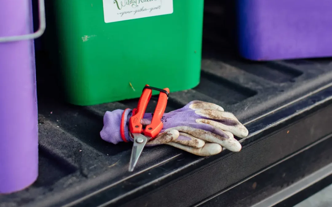 Episode 58: Clipper vs. Knife: What We Use