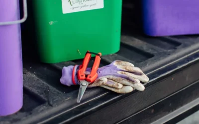 Episode 58: Clipper vs. Knife: What We Use