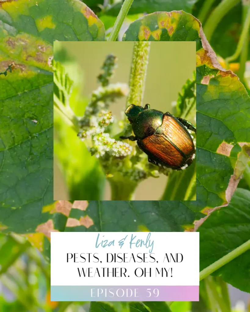 Episode 59 Title Image for The Flower Files: Pests, Diseases and Weather