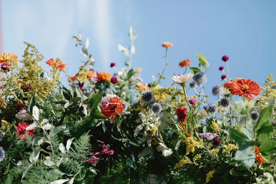 Episode 95: How do I Set Goals for my Garden