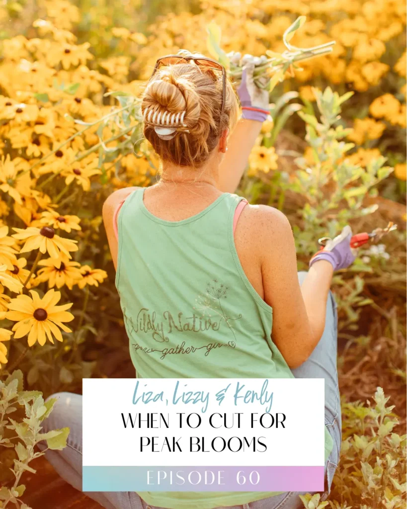 The Flower Files Episode 60 Title Image: When to Cut for Peak Blooms