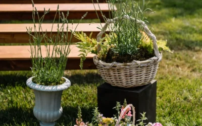 Episode 61: Florist Sustainability