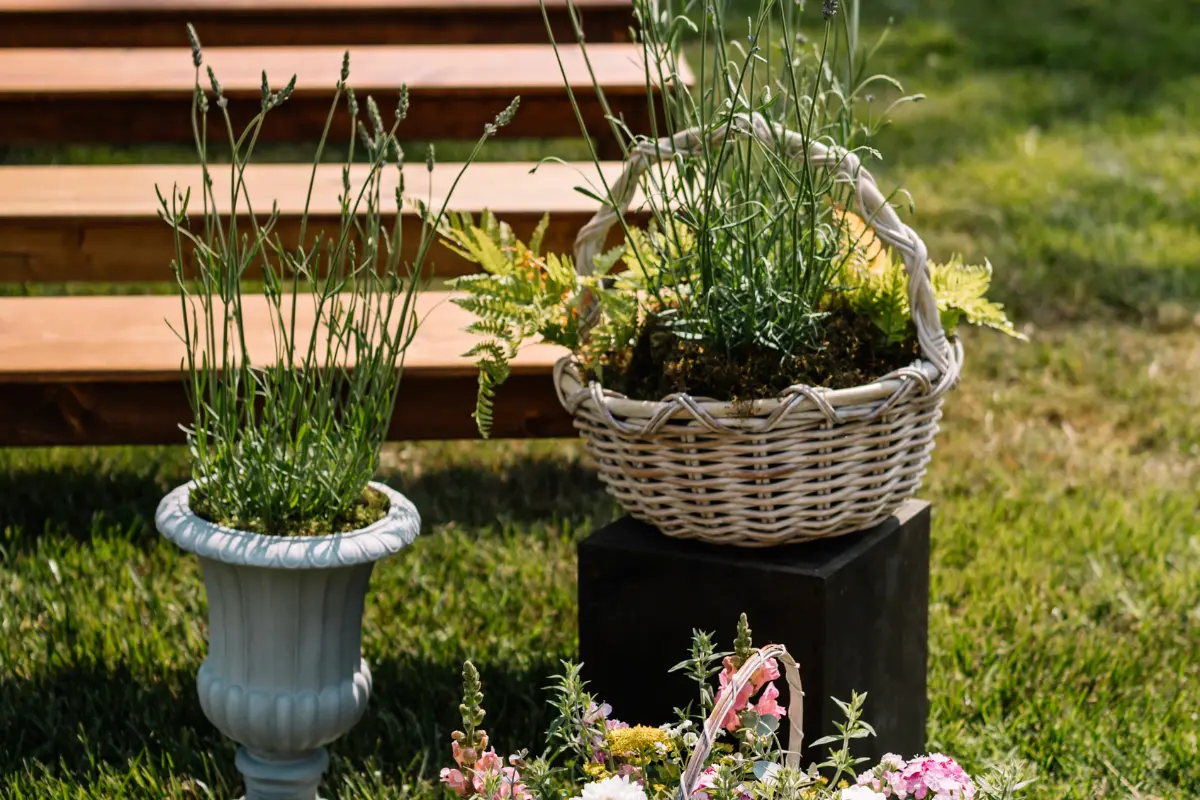 Featured image of florals in urns and a basket