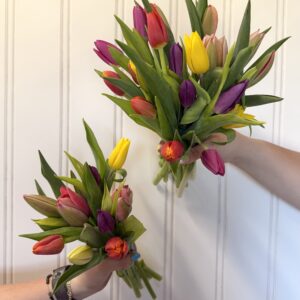 Tulip bundles