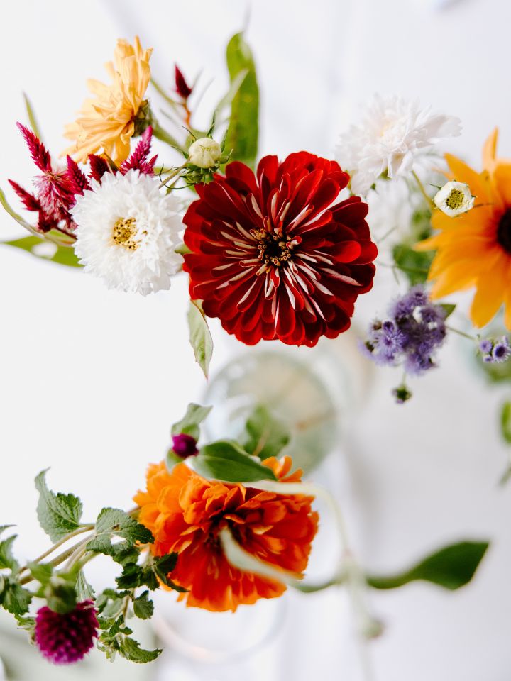 Top down view of zinnias and other September flowers in bud vases.