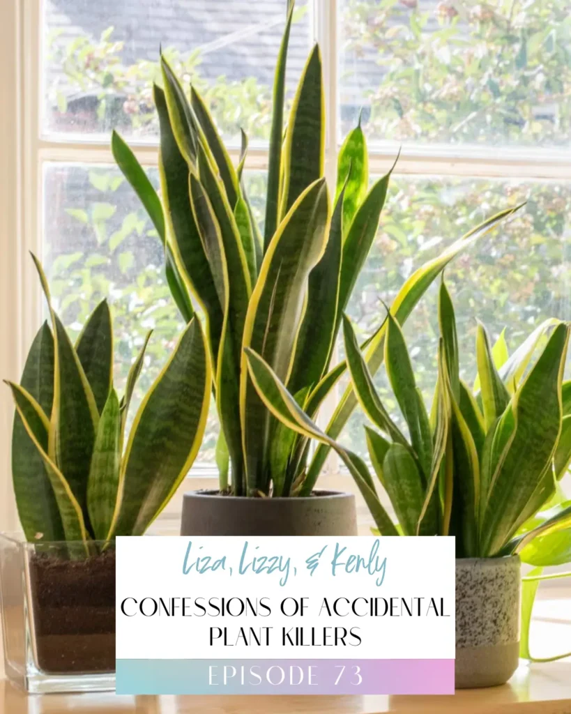 Podcast Title Image for Episode 74 of the Flower Files