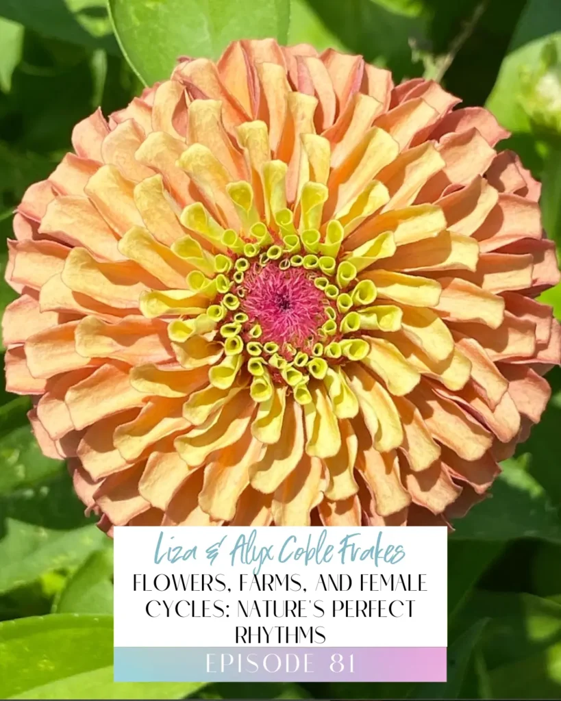 Podcast Episode Title for Episode 81 on Cycle Syncing