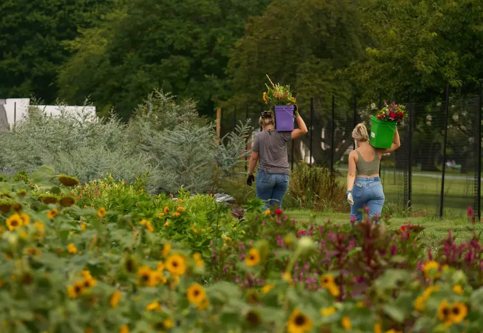 Episode 73: Flower Farmers: It’s a Real Job