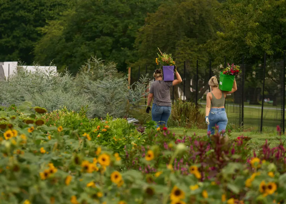 Kenly and Lizzie from Wildly Native Flower Farm walking away from the camera carrying buckets of flowers over their shoulders