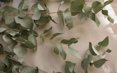 Episode 81: The Breaking Point: When Success Costs Too Much