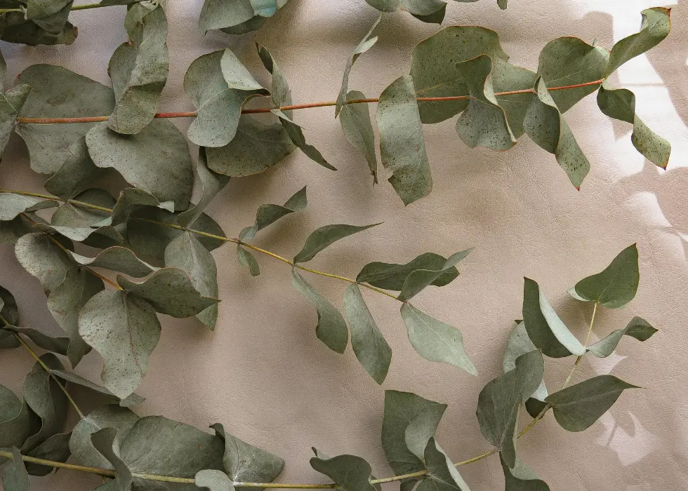 Episode 81: The Breaking Point: When Success Costs Too Much