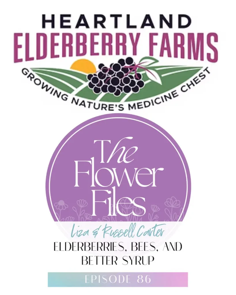 Episode Title Image for Episode 86: Elderberries