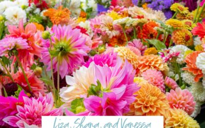 Episode 90: A Simple Money System Discussion with the Budget Besties Team