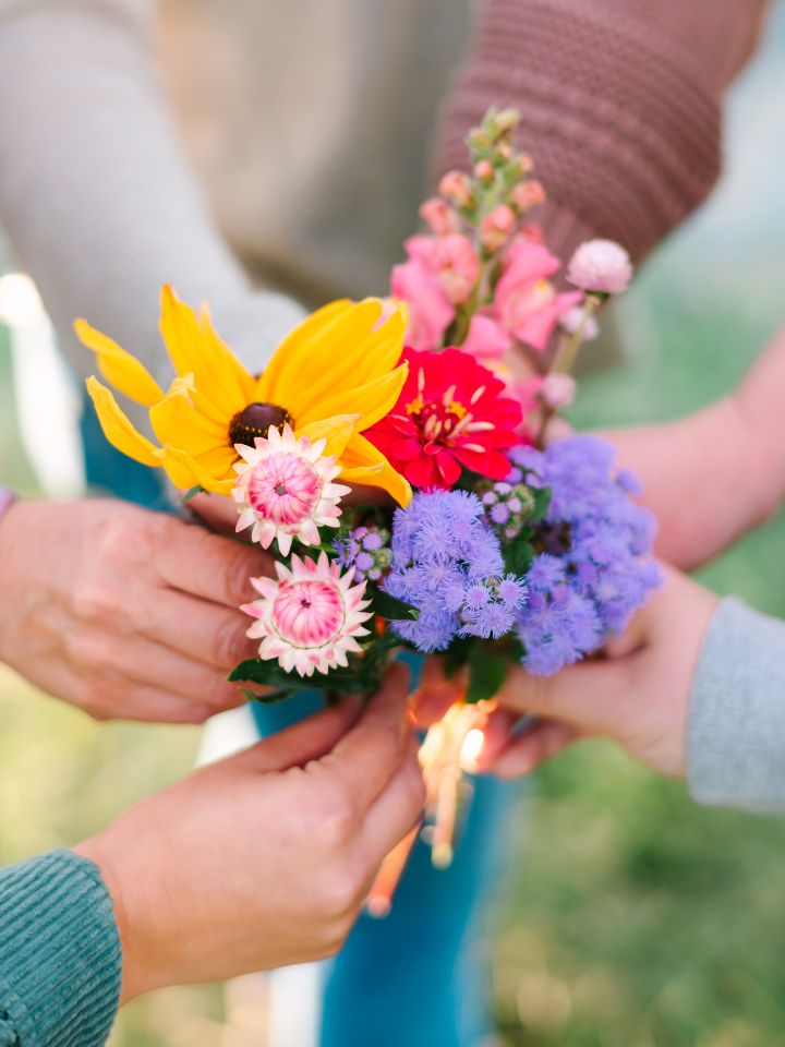 Close up of hands holding different flower varieties