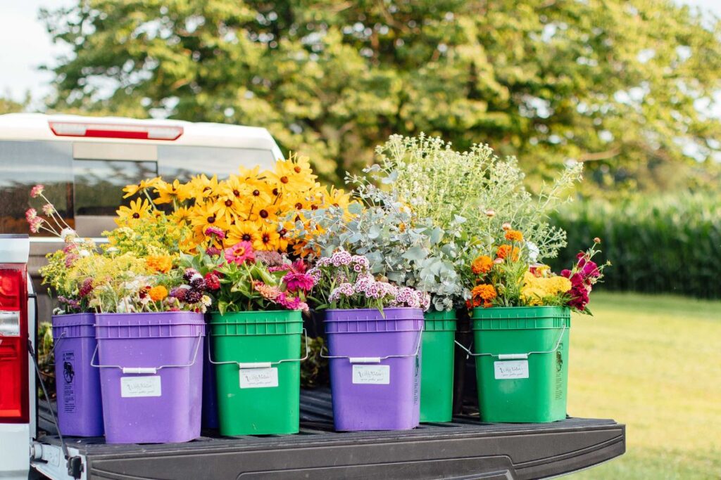 Truck bed with purple and green buckets full of cut flower varieties