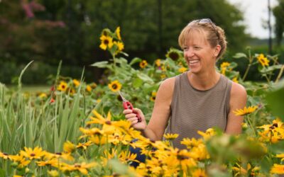 So You Want to Grow Cut Flowers
