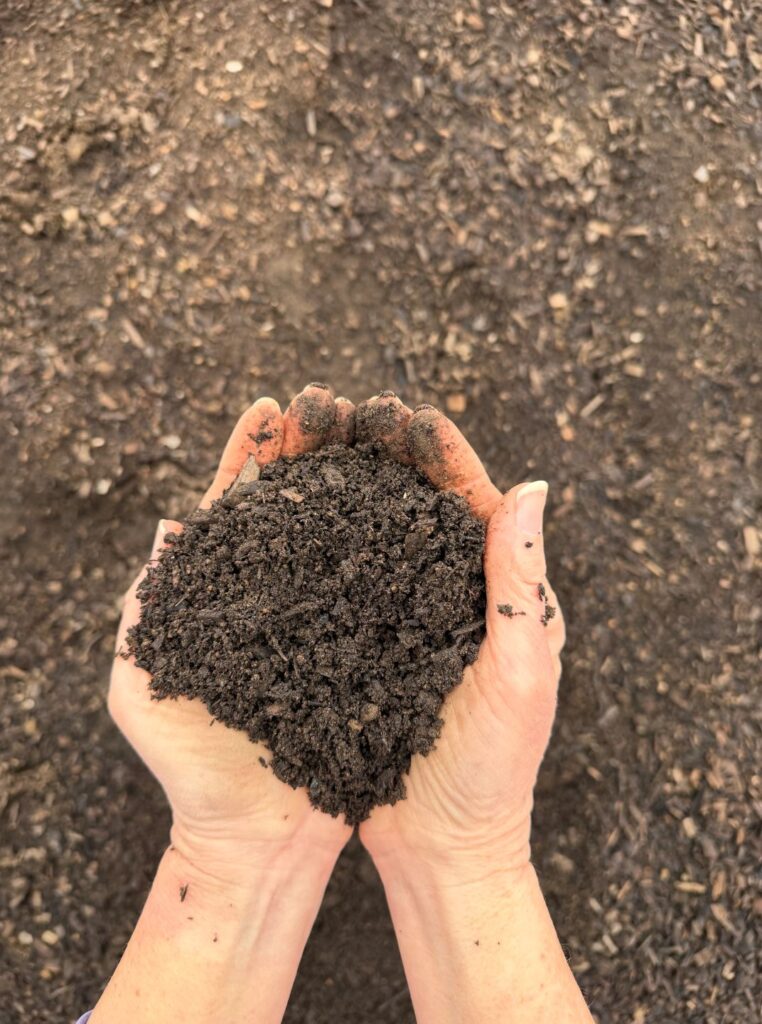 Closeup of hands holding compost over a larger pile.